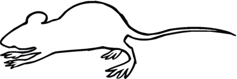 Rat Outline Coloring Page